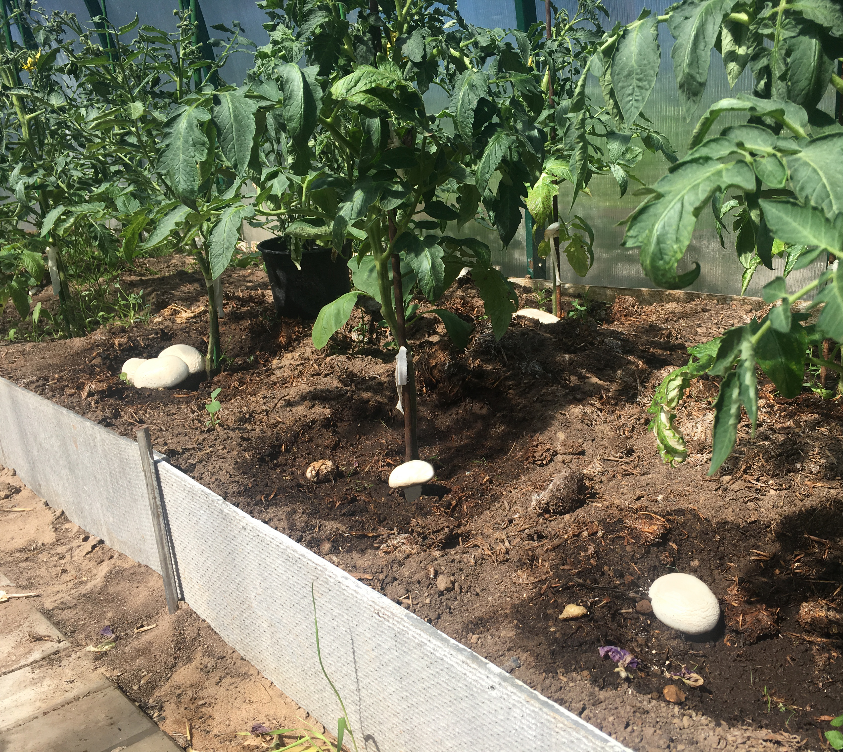 Производственный комплекс